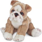 Tan and white stuffed bulldog plush, lying down with front paws forward, 13 in